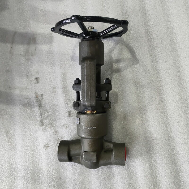 ASTM A182 F22 Globe Valve, 1 Inch, CL2500 LB, PSB, SW Ends