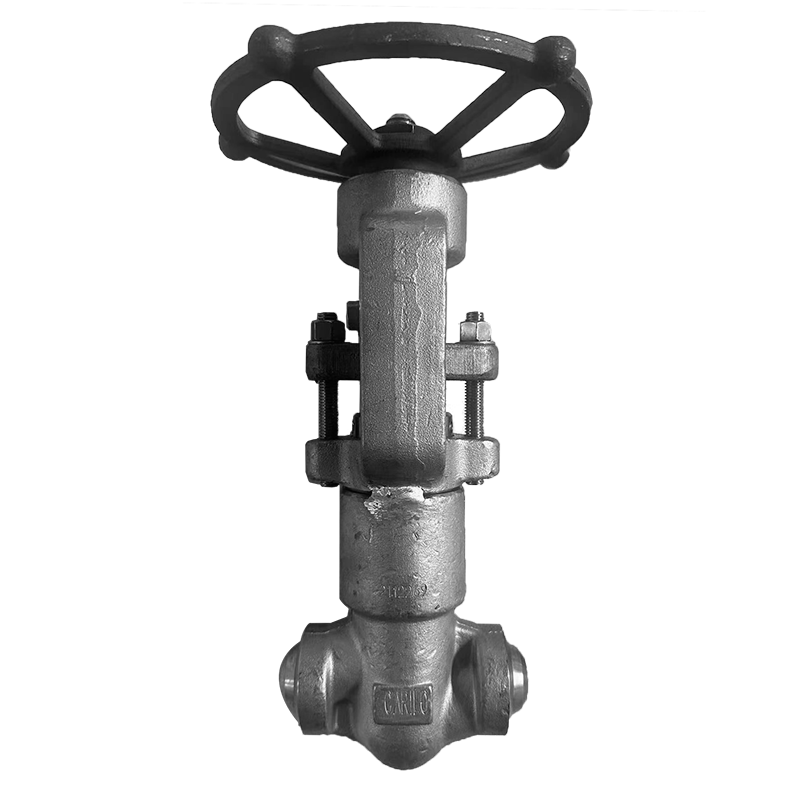 ASTM A182 F321 Globe Valve, API 602, 1 IN, CL1500, PSB, BW