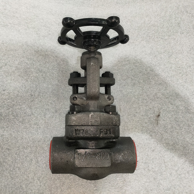ASTM A182 F91 Globe Valve, Trim 5#, 1/2 Inch, CL800, SW Ends