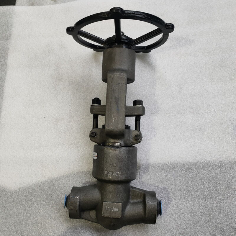 ASTM A350 LF2 Globe Valves, API 602, 1/2 Inch, CL800 LB, SW