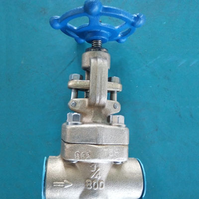 Bolted Bonnet Globe Valve, B62 C83600, API 602, 800 LB, 3/4 Inch