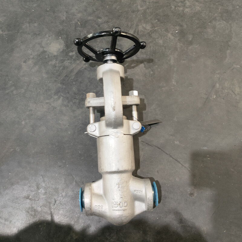 Forged Stainless Steel Globe Valve, A182 F321, 1 IN, CL1500