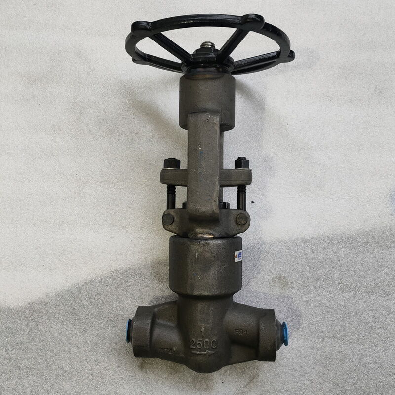 High Pressure Globe Valve, ASTM A182 F91, 1 Inch, CL2500, BW