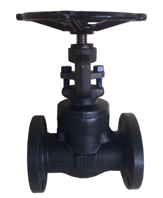 Integral Flanged Globe Valve, API 602, ASTM A105N, 1/2-2 Inch