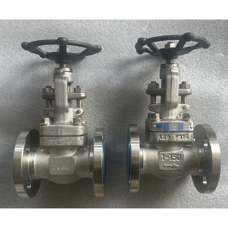 ISO 15761 Globe Valve, ASTM A182 F316, 1 Inch, CL150 LB, FF