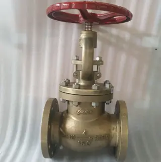 ASTM B148 C95800 Globe Valve, BS 1873, 6 Inch, 150 LB, RF