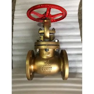 Aluminum Bronze Globe Valve, B148 C95800, 6 Inch, 150 LB, RF