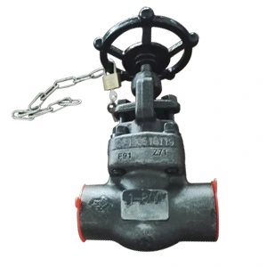 API 602 Globe Valve, ASME A182 F91, 1 Inch, Class 800, SW Ends