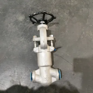 Forged Stainless Steel Globe Valve, A182 F321, 1 IN, CL1500