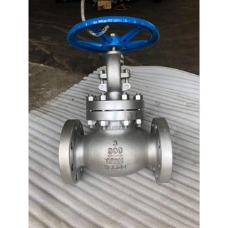 ASTM A351 CF8M Globe Valve, Stainless Steel, 3 IN, CL300, RF