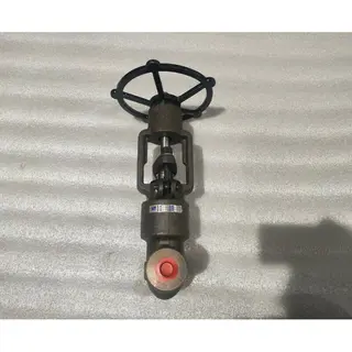 API 602 Globe Valves, ASTM A182 F22, 1 Inch, CL2500, PSB, SW