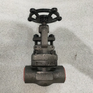 ASTM A182 F91 Globe Valve, Trim 5#, 1/2 Inch, CL800, SW Ends