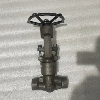 Pressure Seal Bonnet Globe Valve, API 602, A182 F22, 1/2 IN