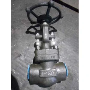 Butt Welded Globe Valve, A182 F11, 1500 LB, 1IN