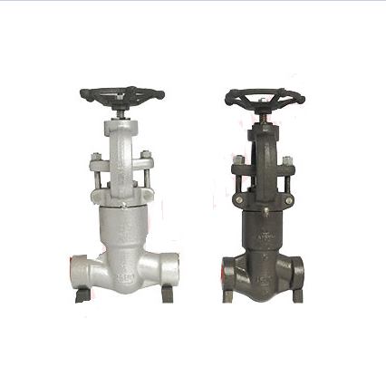 Soft Sealing Y Pattern Globe Valve, API 602, BS 5352