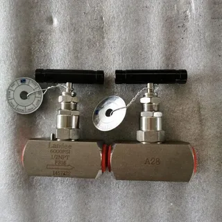 Stainless Steel Needle Valves, 1/2 Inch, 6000 PSI, NPT Ends
