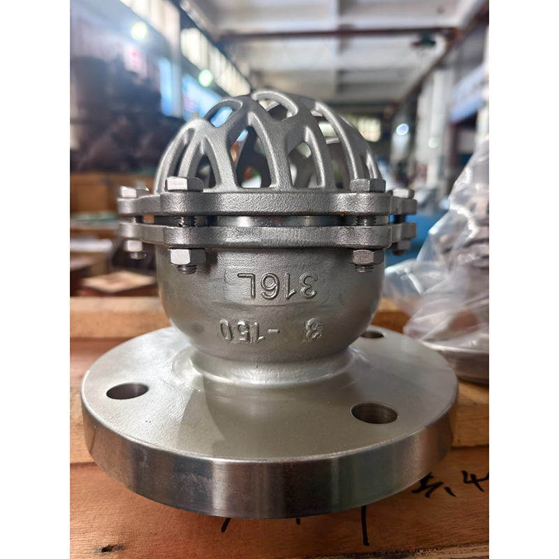 SS 316L Foot Valve, API 594, 3 Inches, CL150 LB, RF Flanged