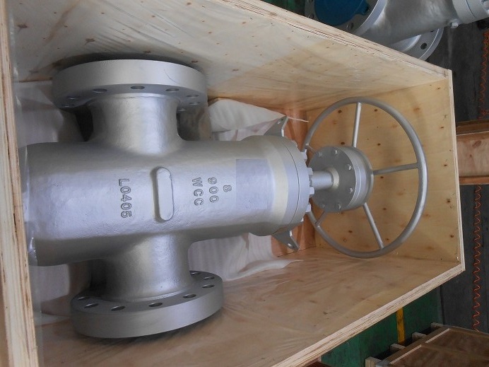 Throttling Valves Packging