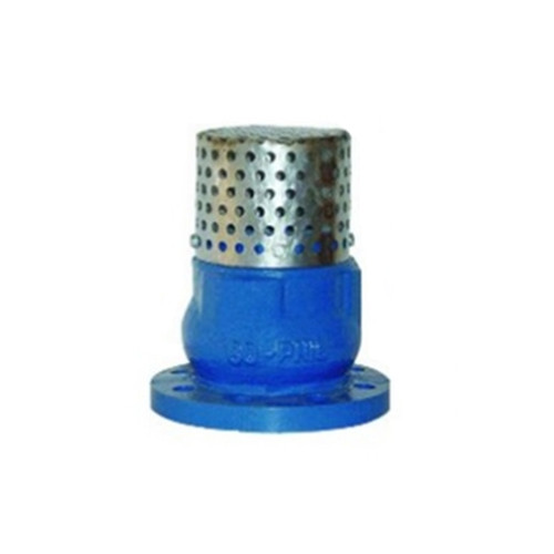 Cast Ductile Iron Foot Valve, 6 Inch, 150 LB, ANSI, DIN, BS