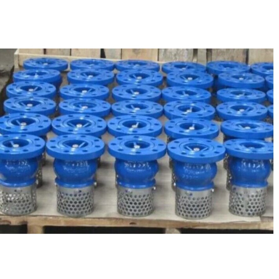 Cast Iron Foot Valve for Saudi, DN15-DN600, PN16, RF