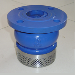 Ductile Iron ASTM A536 Foot Valve, PN16, DN150