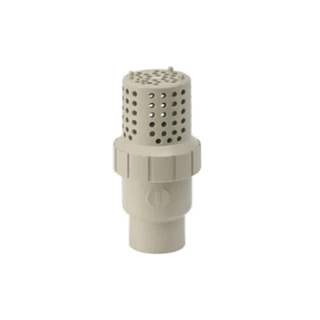 PPH Foot Valve, 1 - 3 Inch, DN25-DN80, 150 PSI