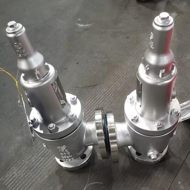 Spring Loaded Safety Valve, ASTM A351 CF8M, 1 * 2 Inch, RF