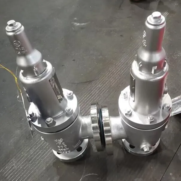 Spring Loaded Safety Valve - Landee