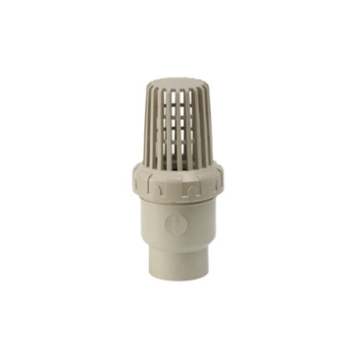 PPH Foot Valve, DN15-DN80, 150 PSI