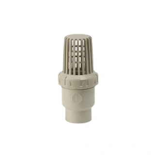 PPH Foot Valve, DN15-DN80, 150 PSI