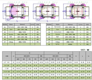 CPVC True Union Check Valves