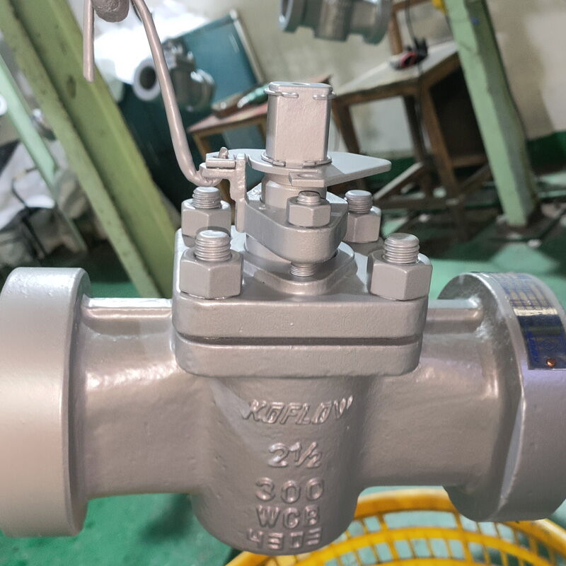 API 599 Plug Valve, ASME B16.34, A216 WCB, 2-1/2 Inch, CL300