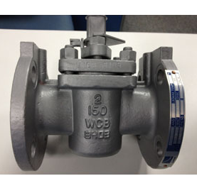 ASTM A216 WCB Plug Valve, A351 CF8 Plug, Class 150, 2 Inch, RF