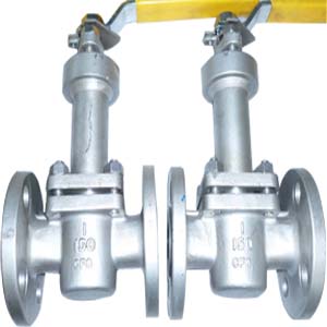 Lever Operated Plug Valve, A351 CF8, RF, 1 Inch