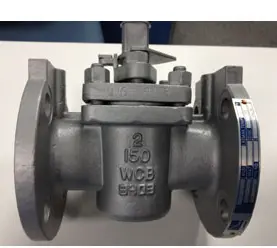 ASTM A216 WCB Plug Valve, A351 CF8 Plug, Class 150, 2 Inch, RF