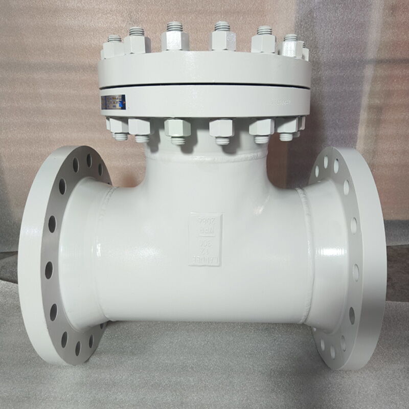 API 598 T Strainer, A234 WPB, A105, Inconel 625, 12 IN, CL300