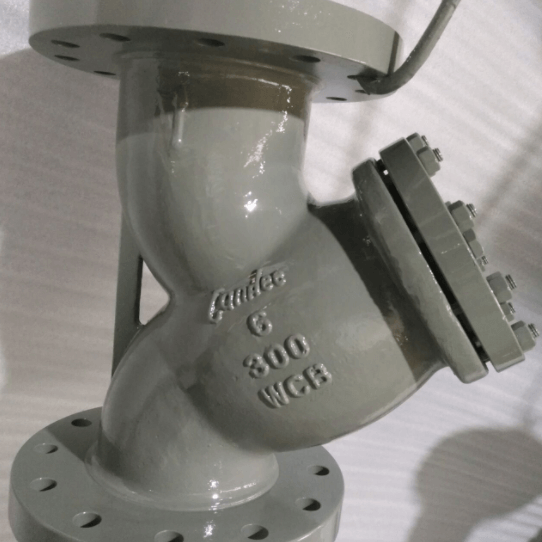 ASTM A216 WCB Y Strainer, 6 Inch, 300 LB, ASME B16.34