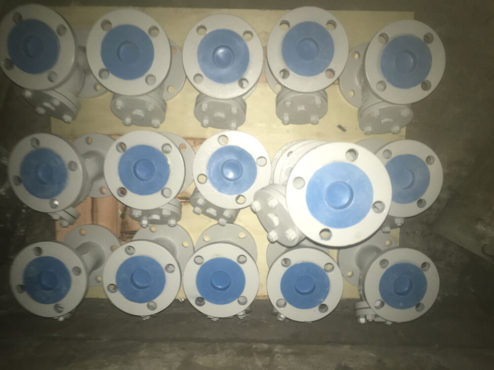 ASTM A216 WCB Y Strainers