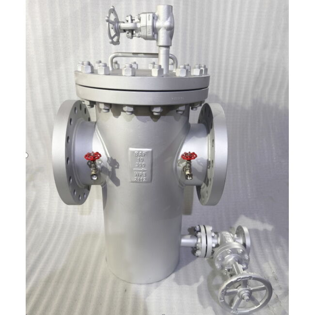 ASTM A234 WPB Basket Strainer, SS 316 Mesh, 10 IN, CL300, RF