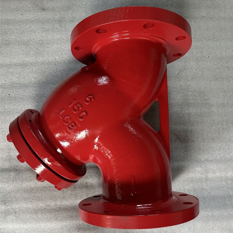 ASTM A352 LCB Y Strainer, SS 316 Screen, 6 Inch, 150 LB, RF