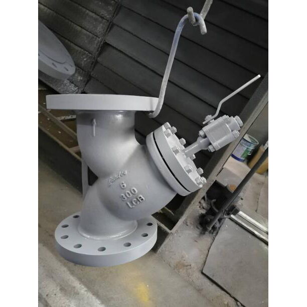 ASTM A352 LCB Y Strainers, 6 Inch, 300 LB, Epoxy Coated, RF