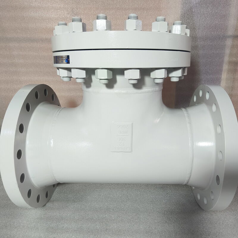 Bolted Bonnet T Strainer, A234 WPB, A105, Inconel 625, 12 IN