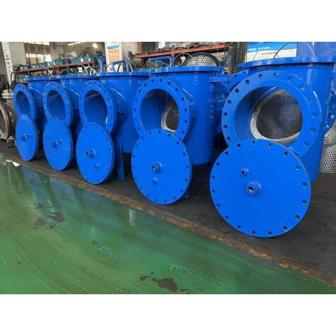 Epoxy Coated Basket Strainer, 30 Inch, 150 LB, DN750, RF