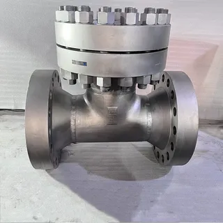 ASTM A403 WP316 T Strainer, API 598, 16 Inch, 1500 LB, RTJ