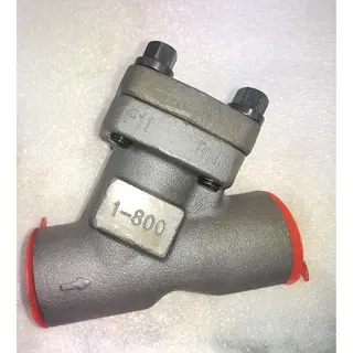 ASME B16.34 Y Strainer, ASTM A182 F11, 1 IN, 800 LB, SW Ends