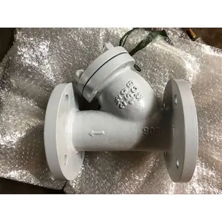ASTM A216 WCB Y Strainers, ASME B16.34, 2-1/2 IN, CL150, RF