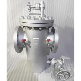 ASTM A234 WPB Basket Strainer, SS 316 Mesh, 10 IN, CL300, RF