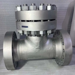 High Pressure T Strainer, A403 WP316, 16 IN, CL2500, BB, RTJ