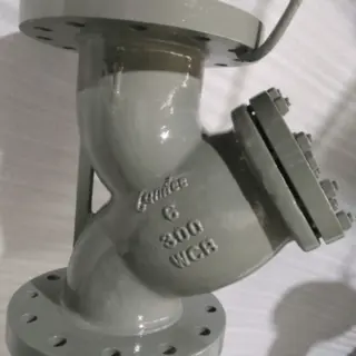 ASTM A216 WCB Y Strainer, 6 Inch, 300 LB, ASME B16.34
