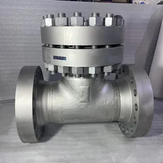 ASTM A403 WP316 T Strainers, 16 Inch, CL2500, NACE MR0175